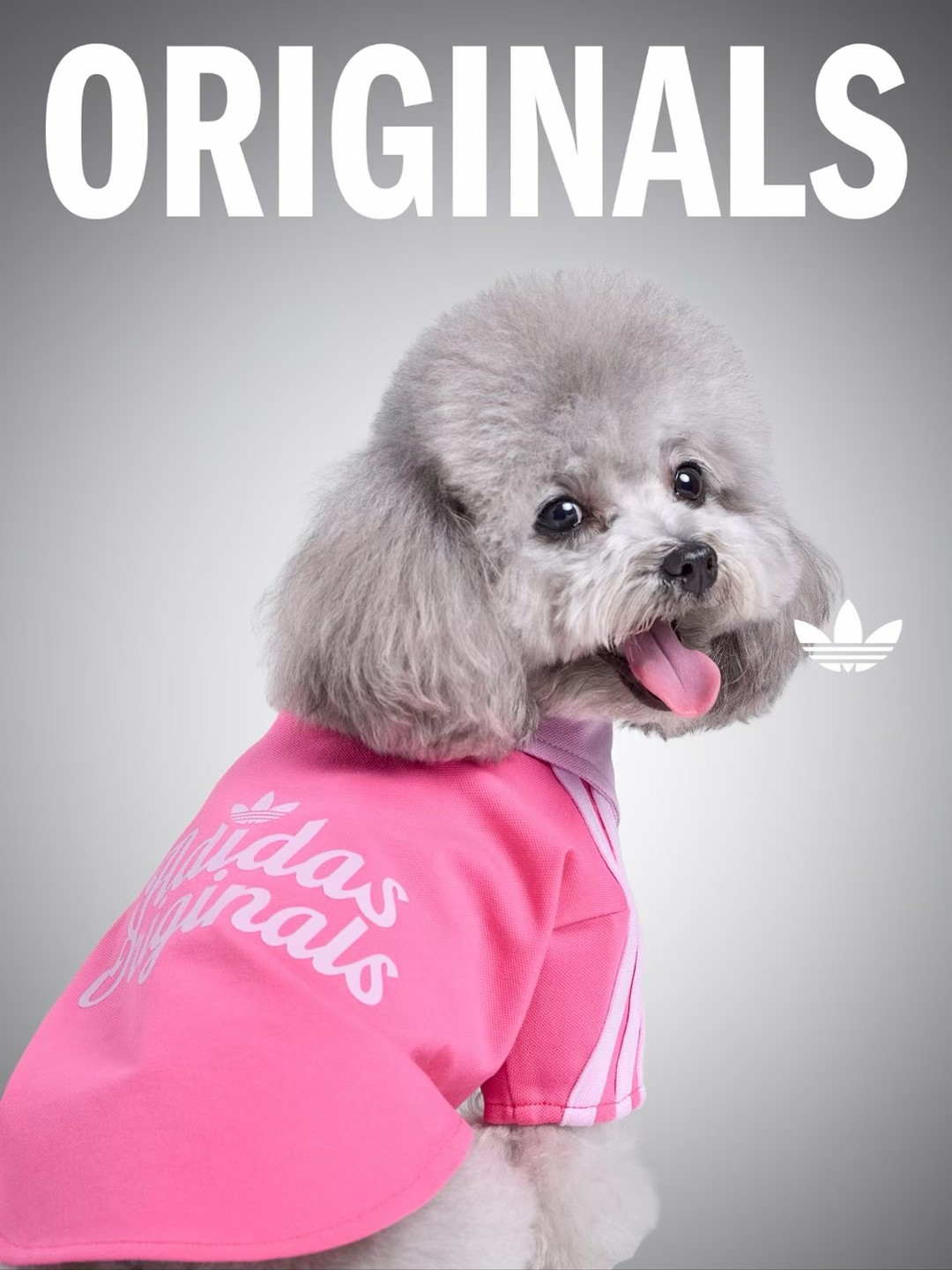 1186e7365740034e239a657d03204811