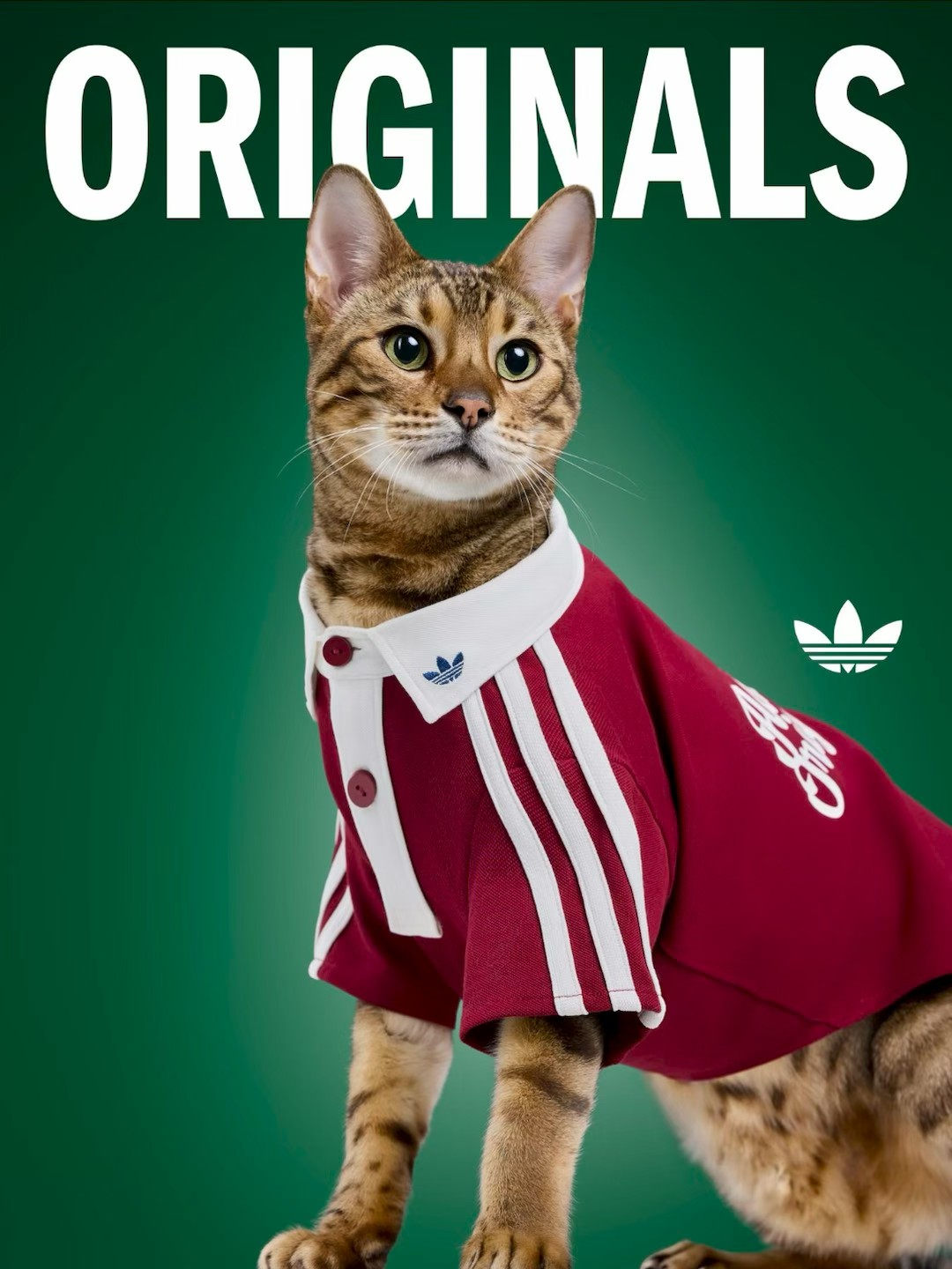 e64c900c815ae4842bd10a976f8de9d0