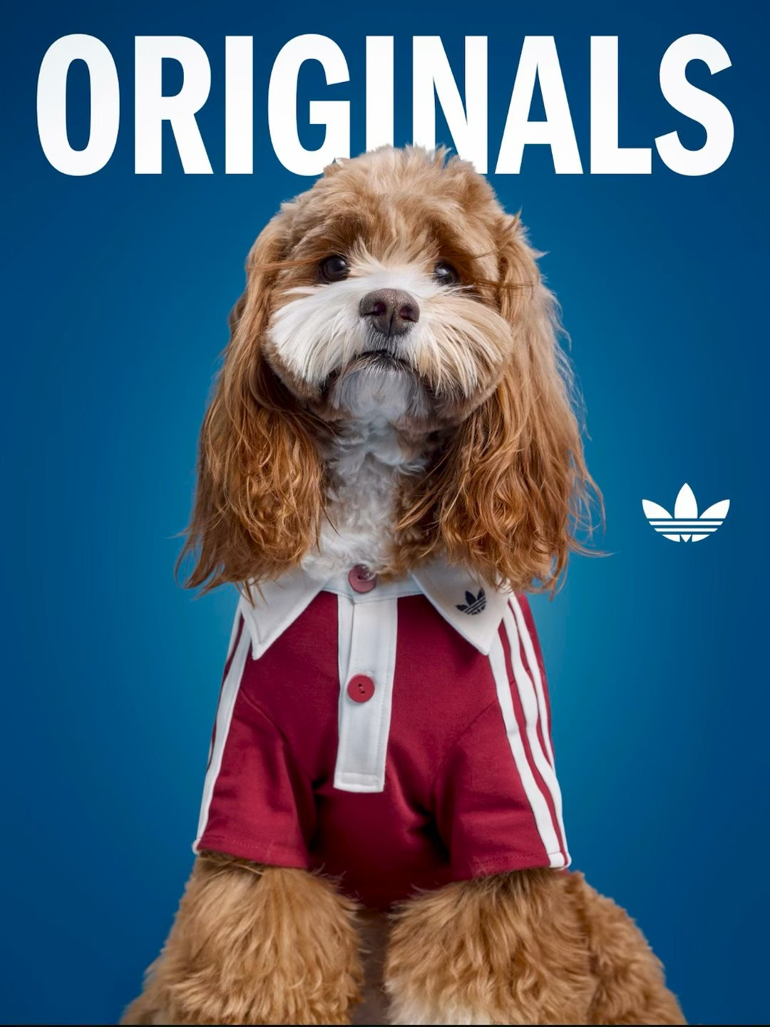 09823f30f70251141efb576741852943