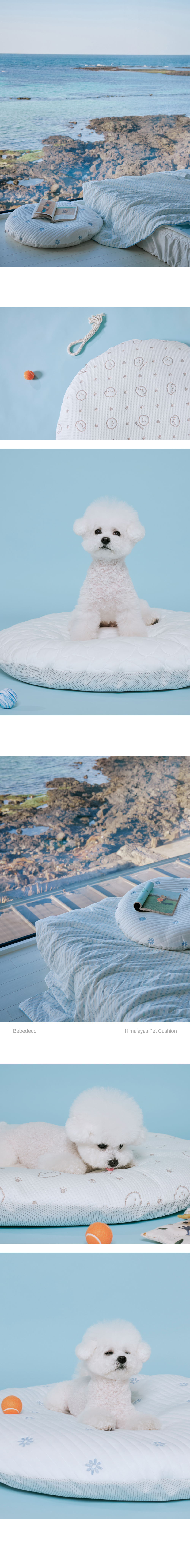 08_Cold_Pet_Cushion_img