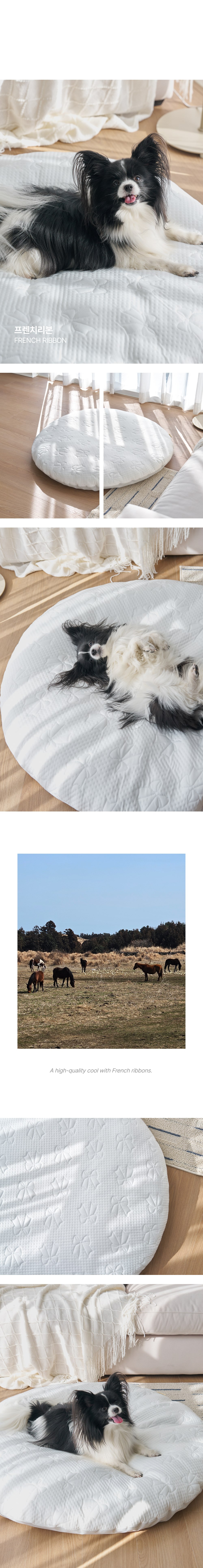 12_Cold_Pet_Cushion_img_05