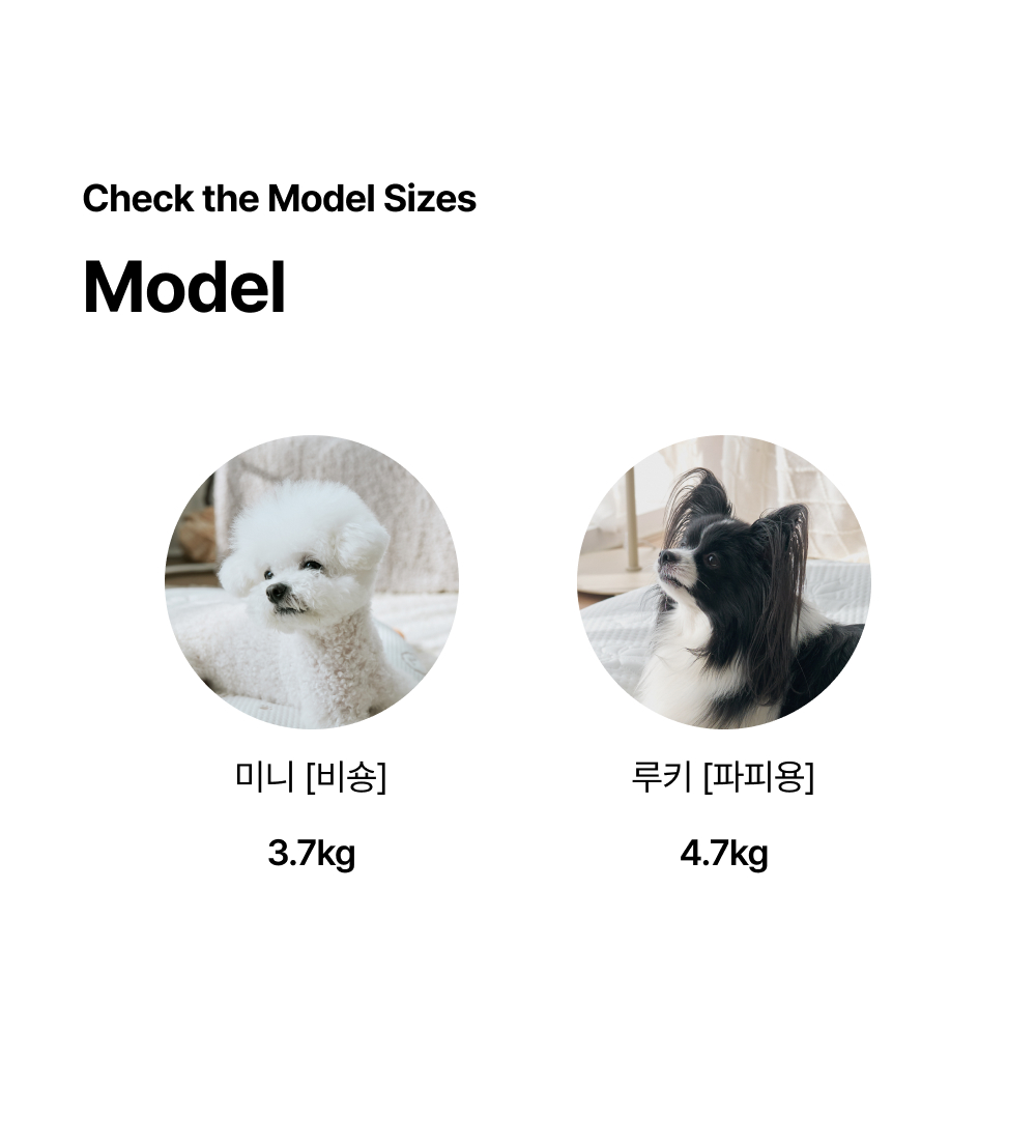 13_Cold_Pet_Cushion_model