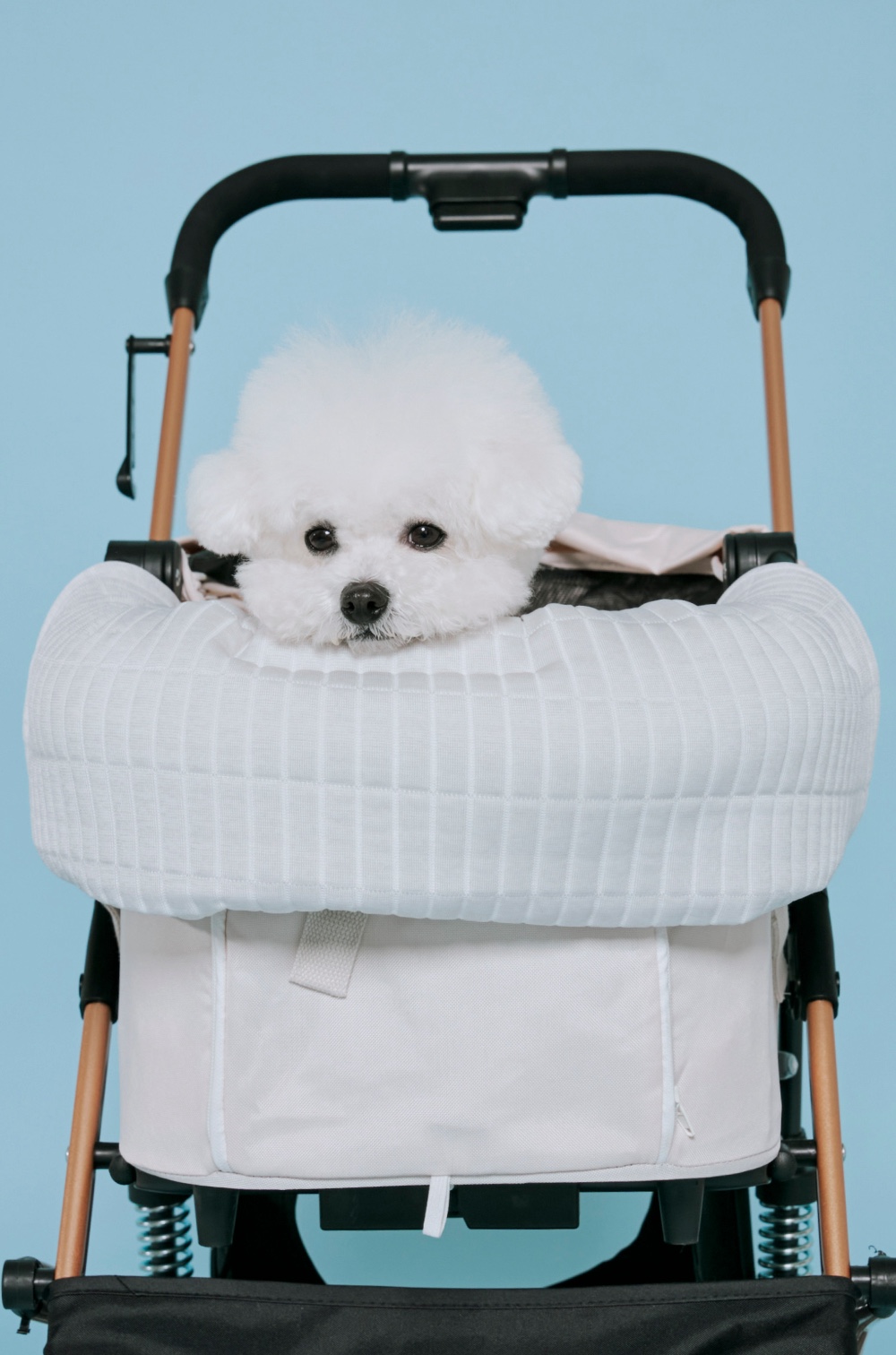 01_Malang_Pet_Guard_main