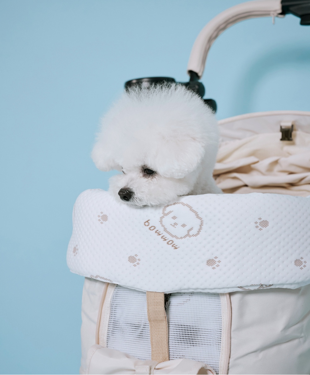 03_Malang_Pet_Cushion_needs