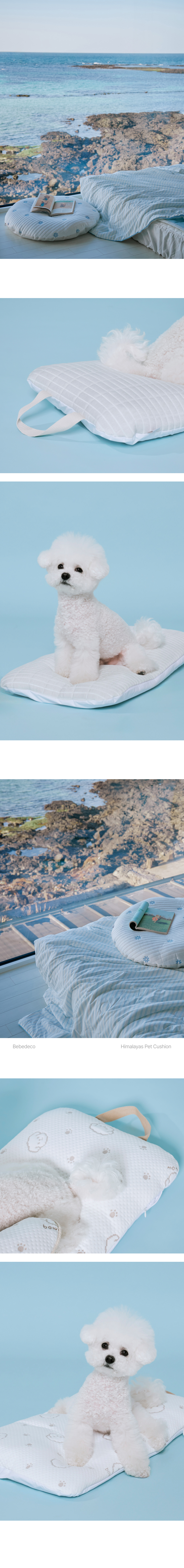 08_Malang_Pet_Cushion_img