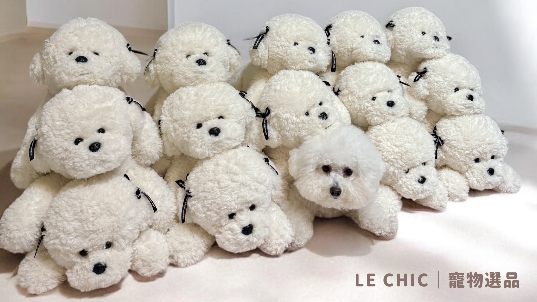  | LE CHIC