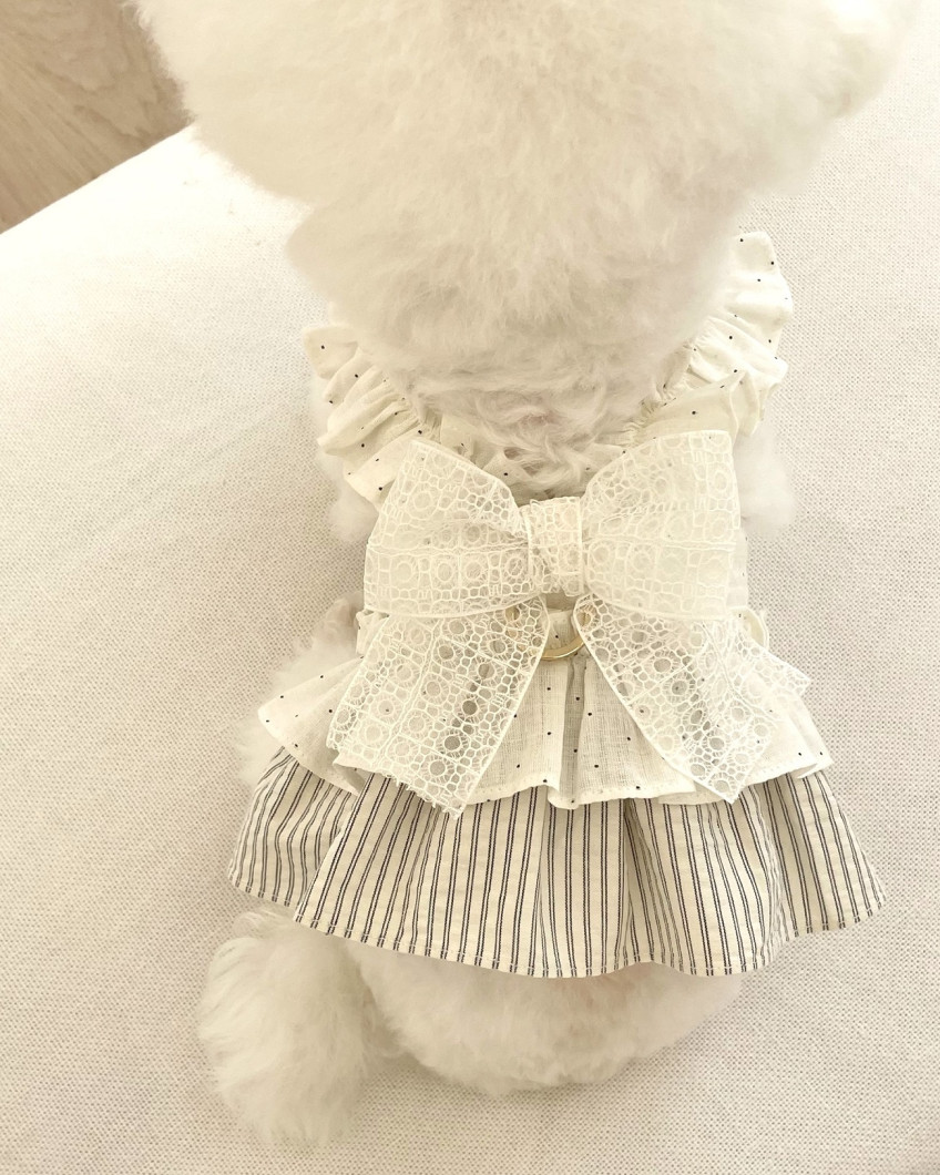 IMG_3362