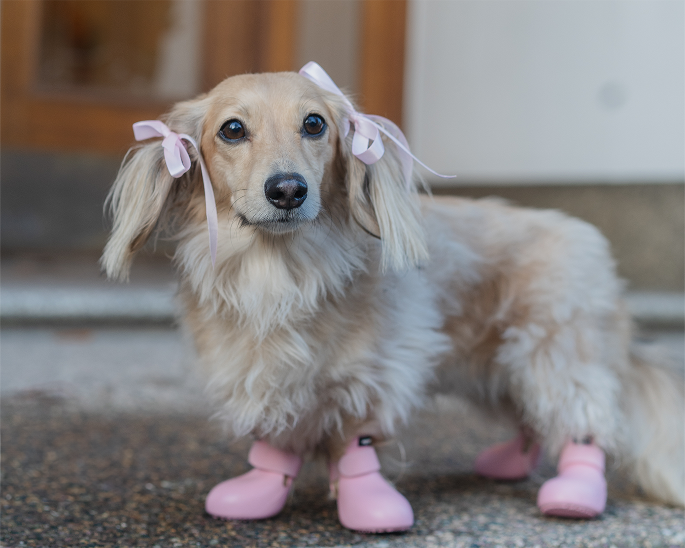 Pink7