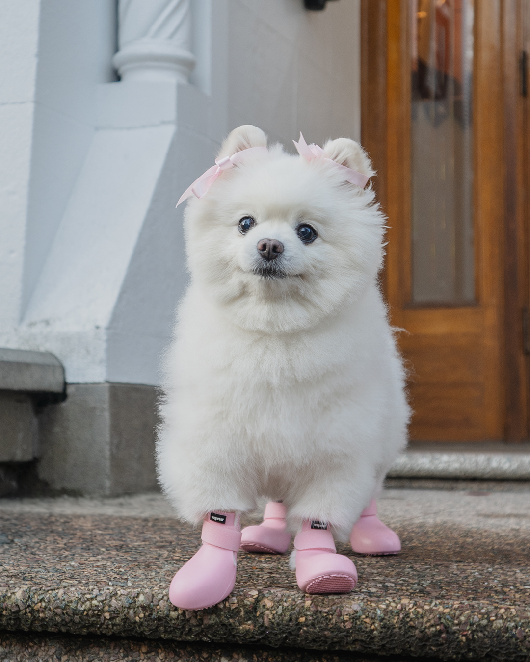 Pink6