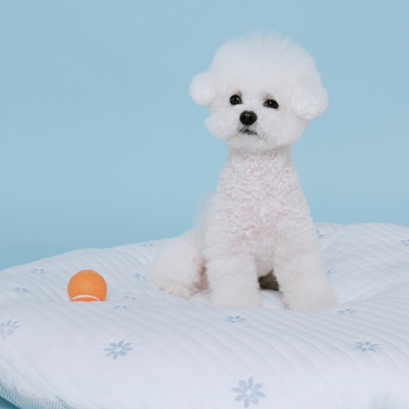 32cc0c0f1825198645c37f3ae4de59a5