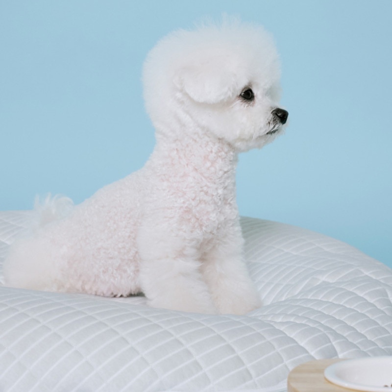 a1f4b36fb536fb973c0b47059014bb11