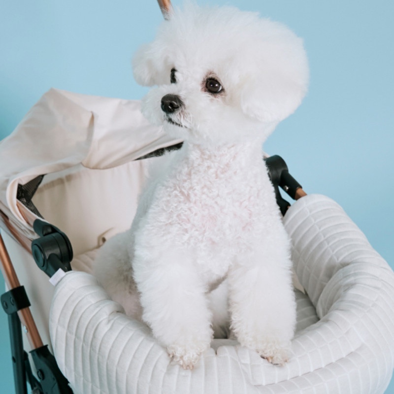 b3daabf4efde0b03b828bdb48701179b