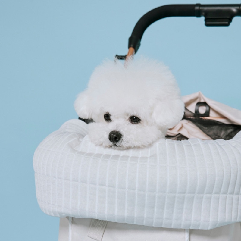 839d8b355fe8fa9b8e4fd455249e37fa