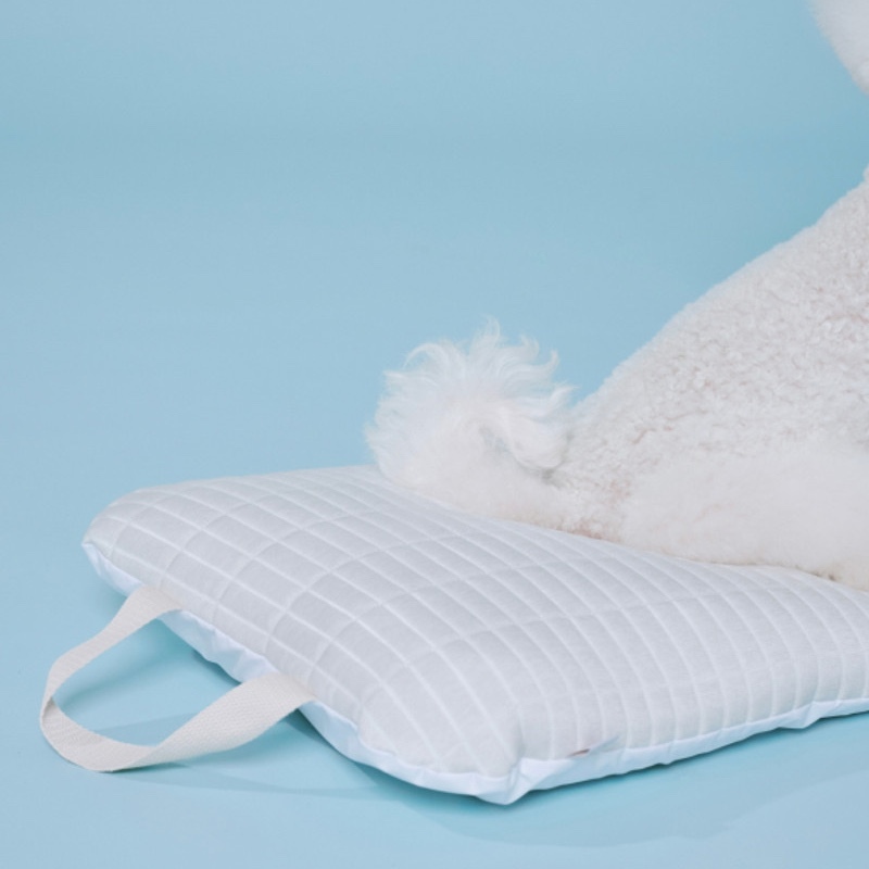 646819798520a2b6bf0bc5f08ab0d74e