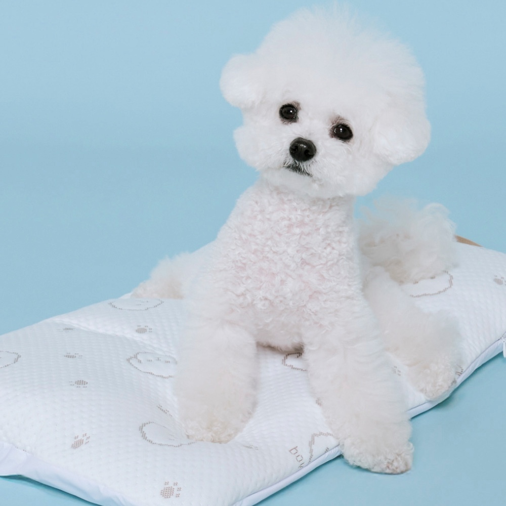 08_Malang_Pet_Cushion_img拷貝