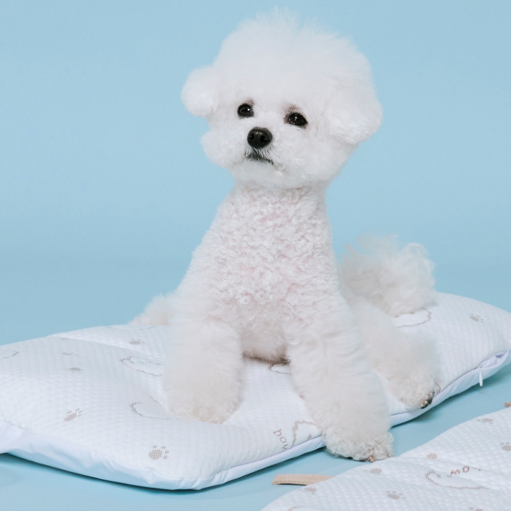 11_Malang_Pet_Cushion_3layers拷貝