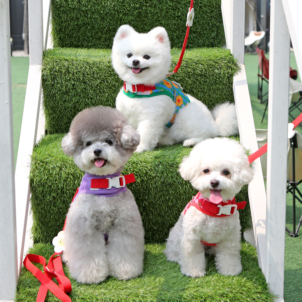 53f4c9b77b141711da61251f2c3c3329