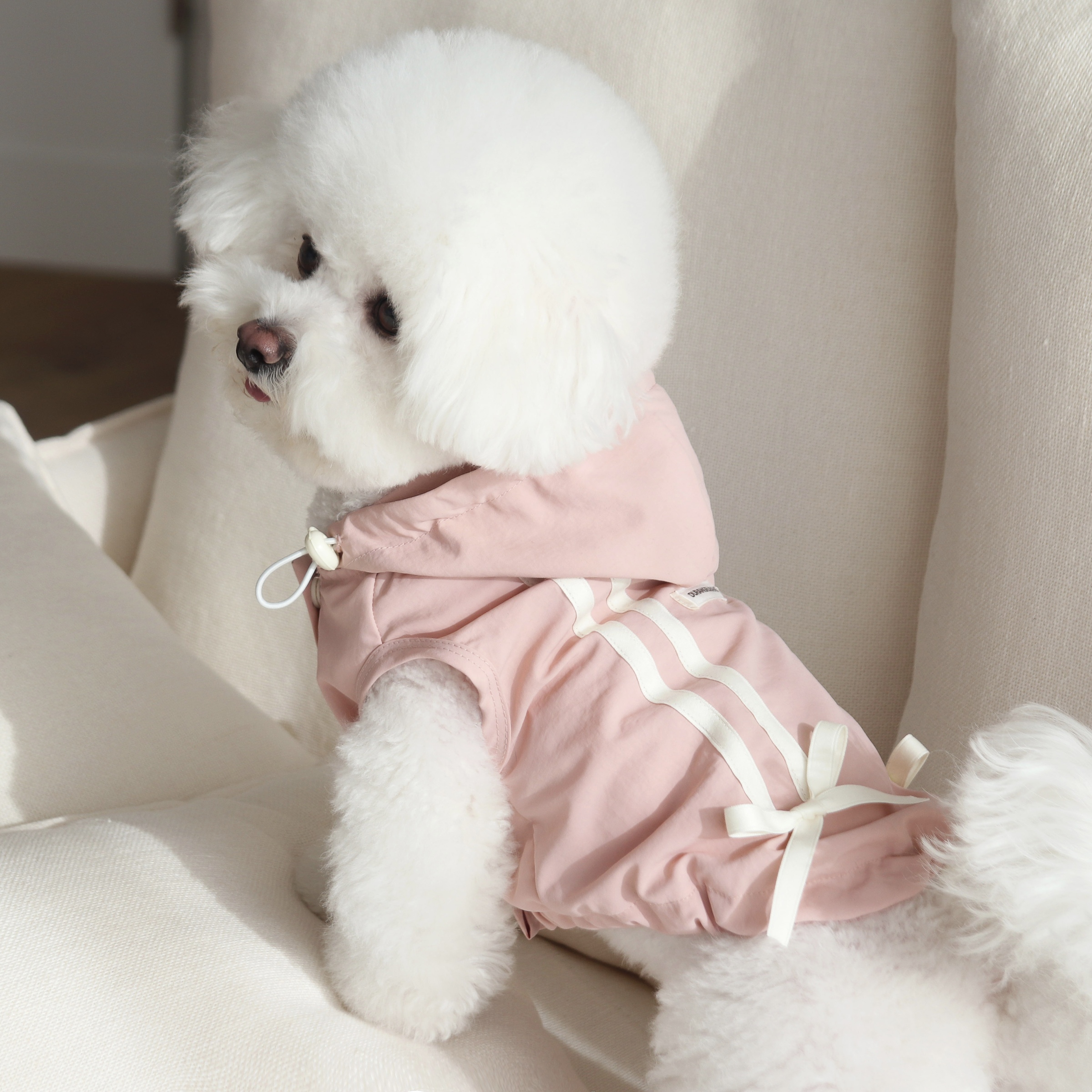 image_CF7C46D9-57E5-4C6F-B4D8-2D711B9A5381_1742047360