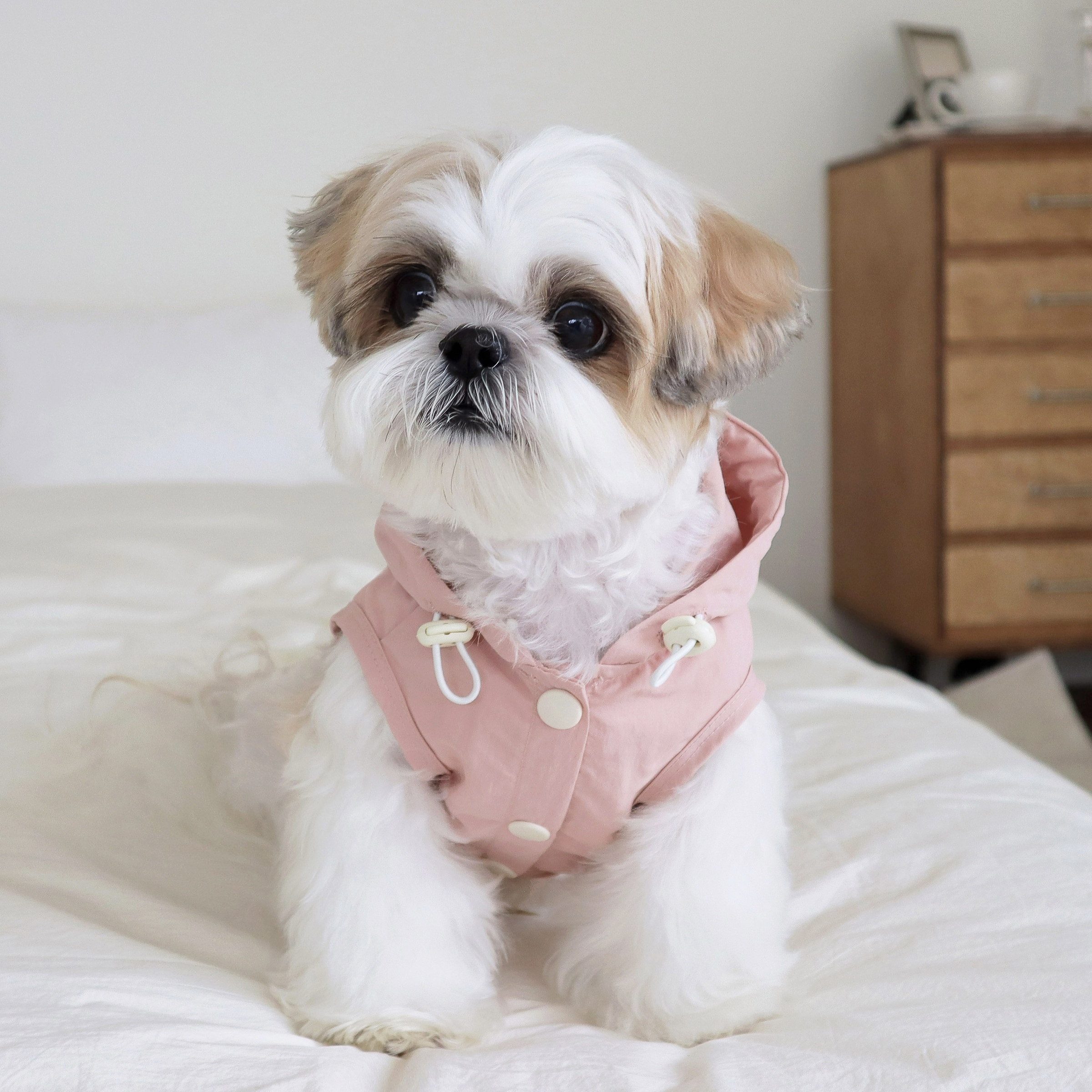 image_C68F6353-8912-48B7-A542-36E7BF72BE25_1742047360