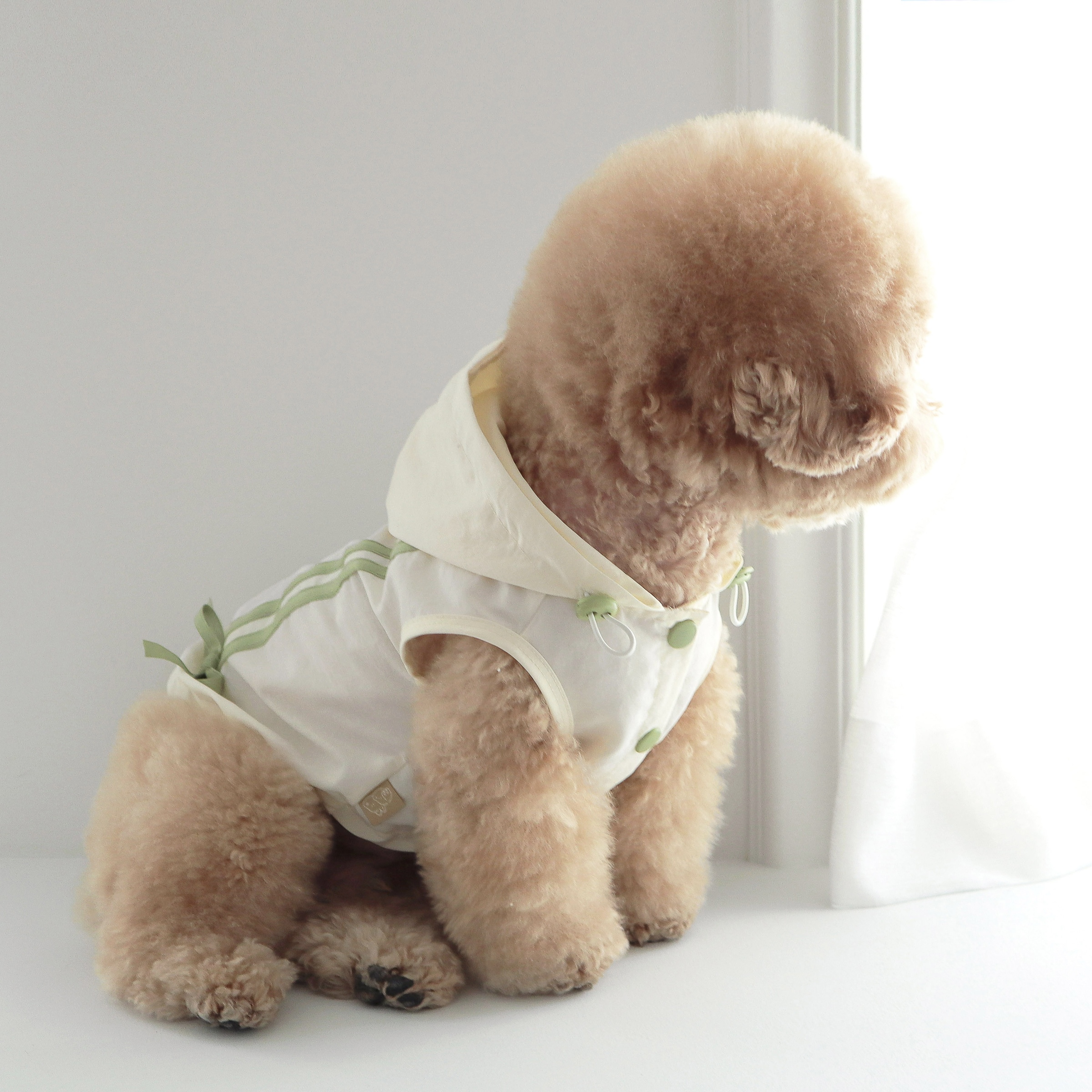 image_94D61706-69EE-494B-B7C2-6D0B630A506E_1742047463