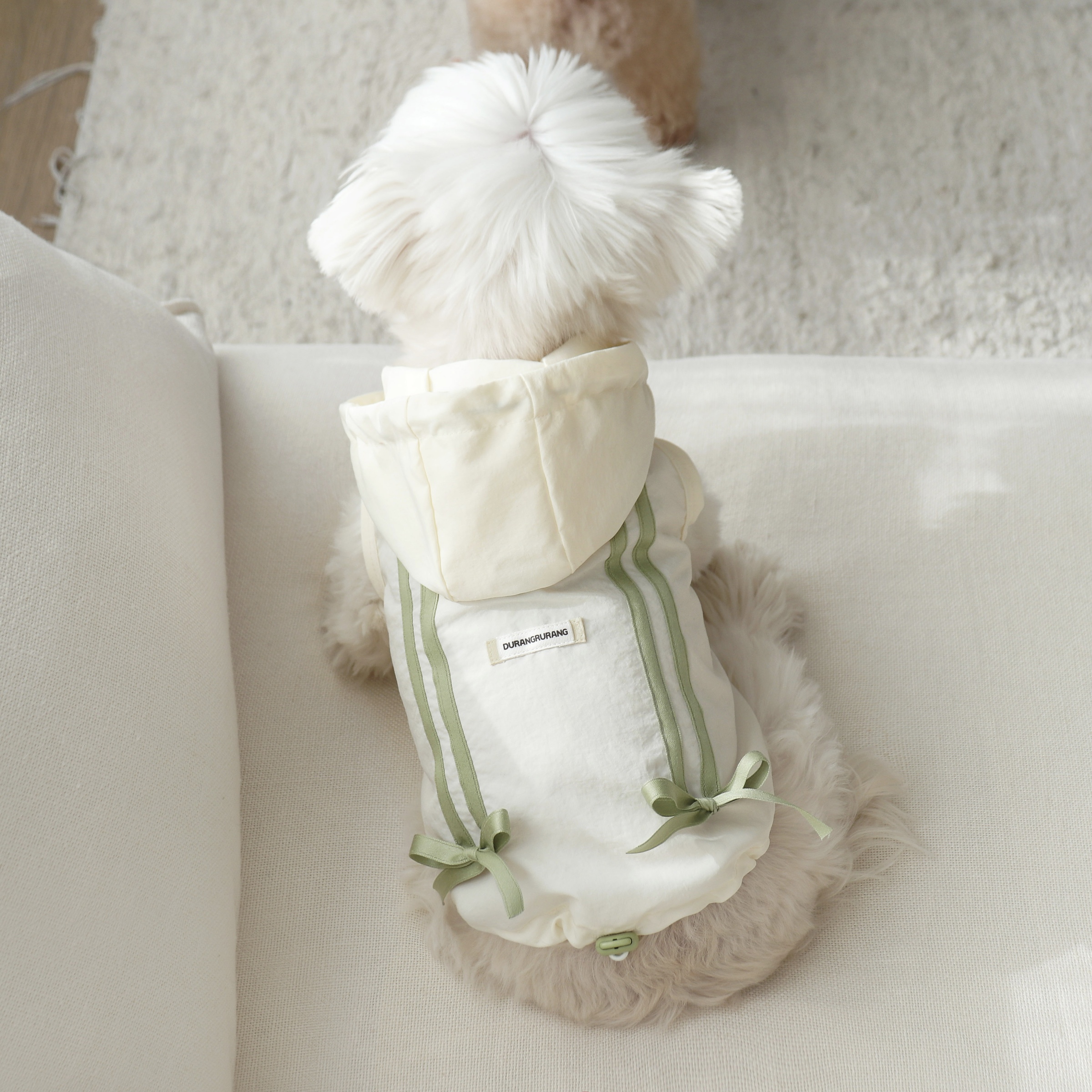 image_7C35CE1A-A751-40BB-8CC6-4C249F48AB53_1742047463