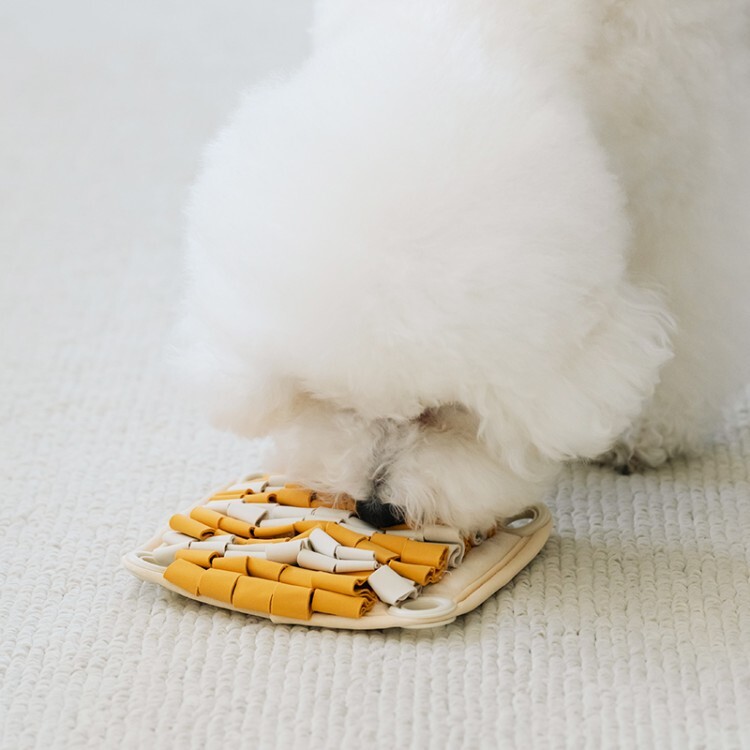 eef47ffcd62b4807abd7bf6367ebdcb6