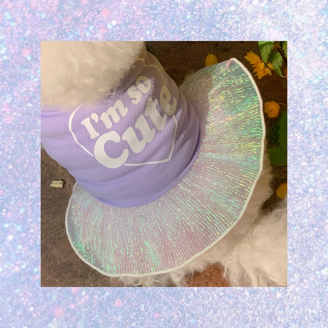 ClipDown.App_495513981_17929991433046243_760370422536249643_n