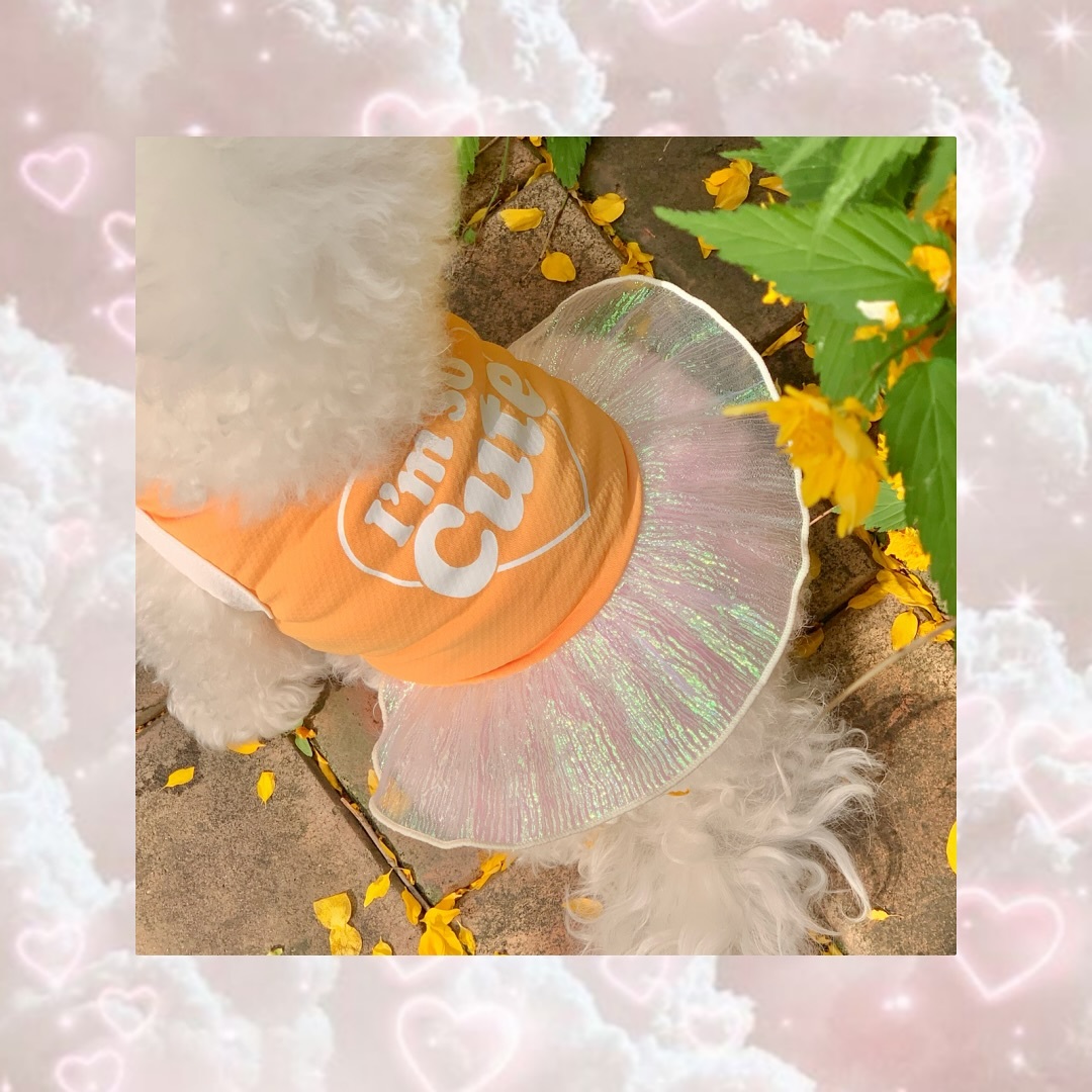 ClipDown.App_495794878_17929991424046243_7980618340603949231_n