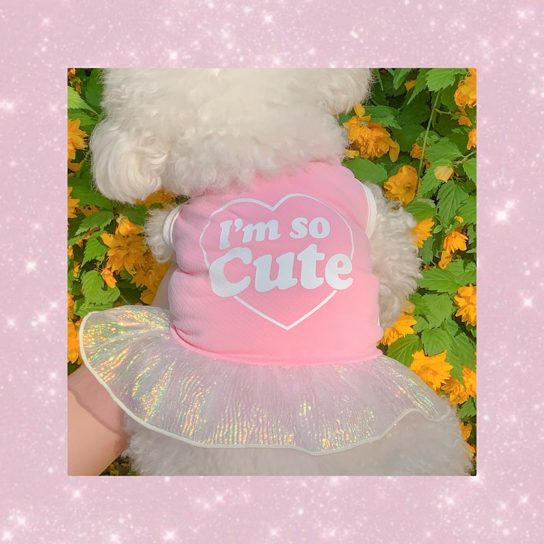 ClipDown.App_496151286_17929991415046243_4870920753062480907_n