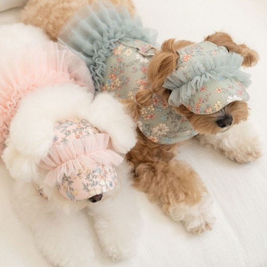 d7756b31abd1a818c9a08a27614bfef3