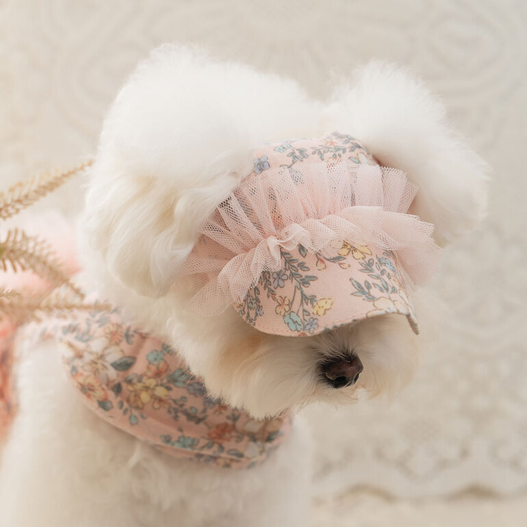 3553921715ab35abb0ca8dacc485e683