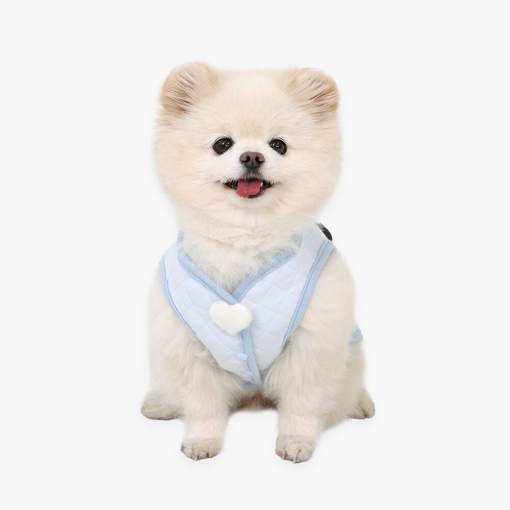 23d6f0d595bcfef15e08b8ab26d1d863