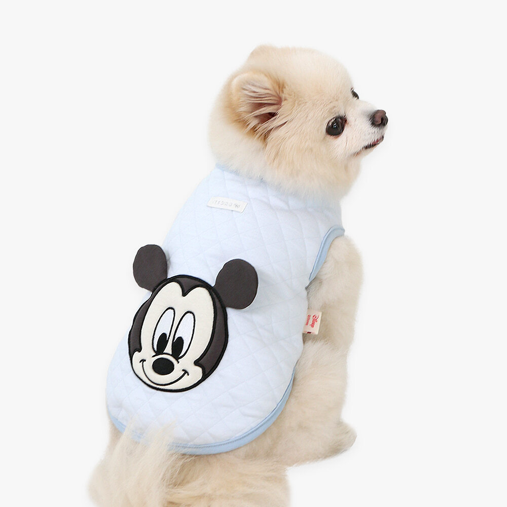 ed8ffc46ac95d3ee2e22e0dbfd4ad2b3