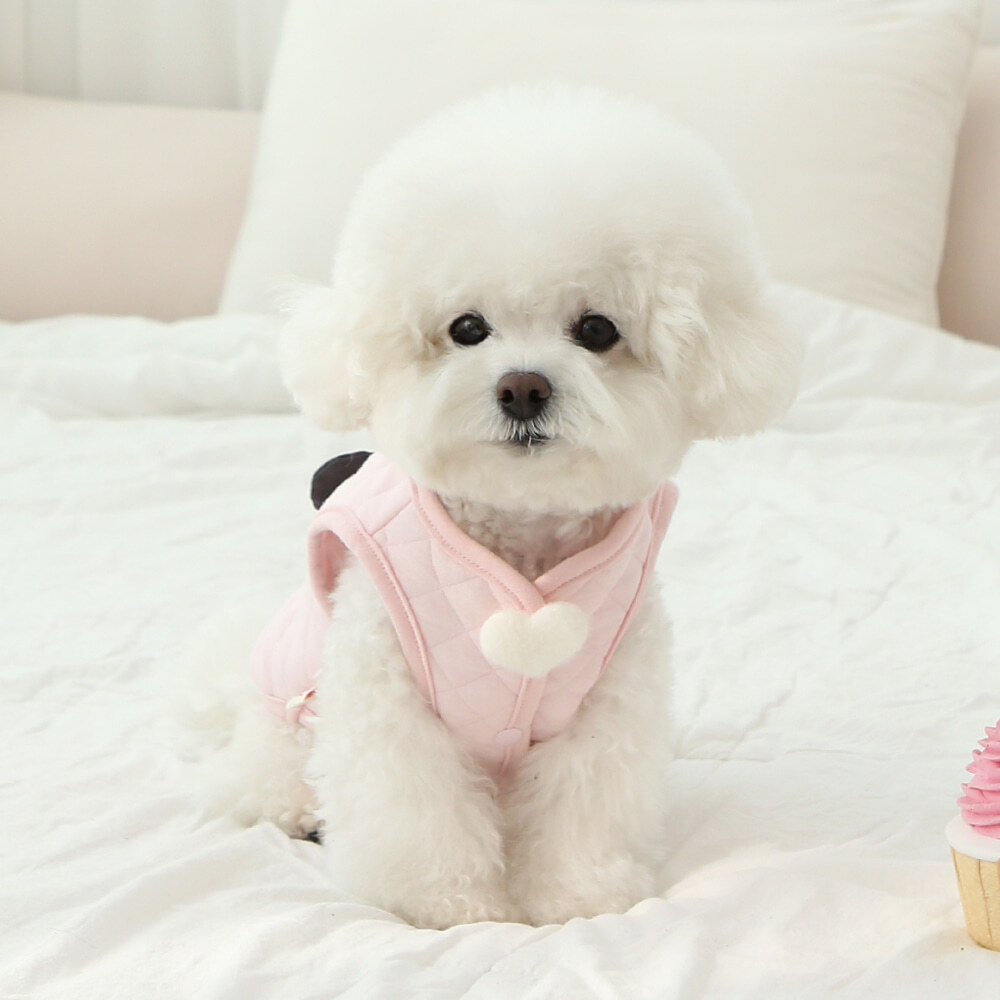 8fe0c2002bdda48f15259265b8b22264