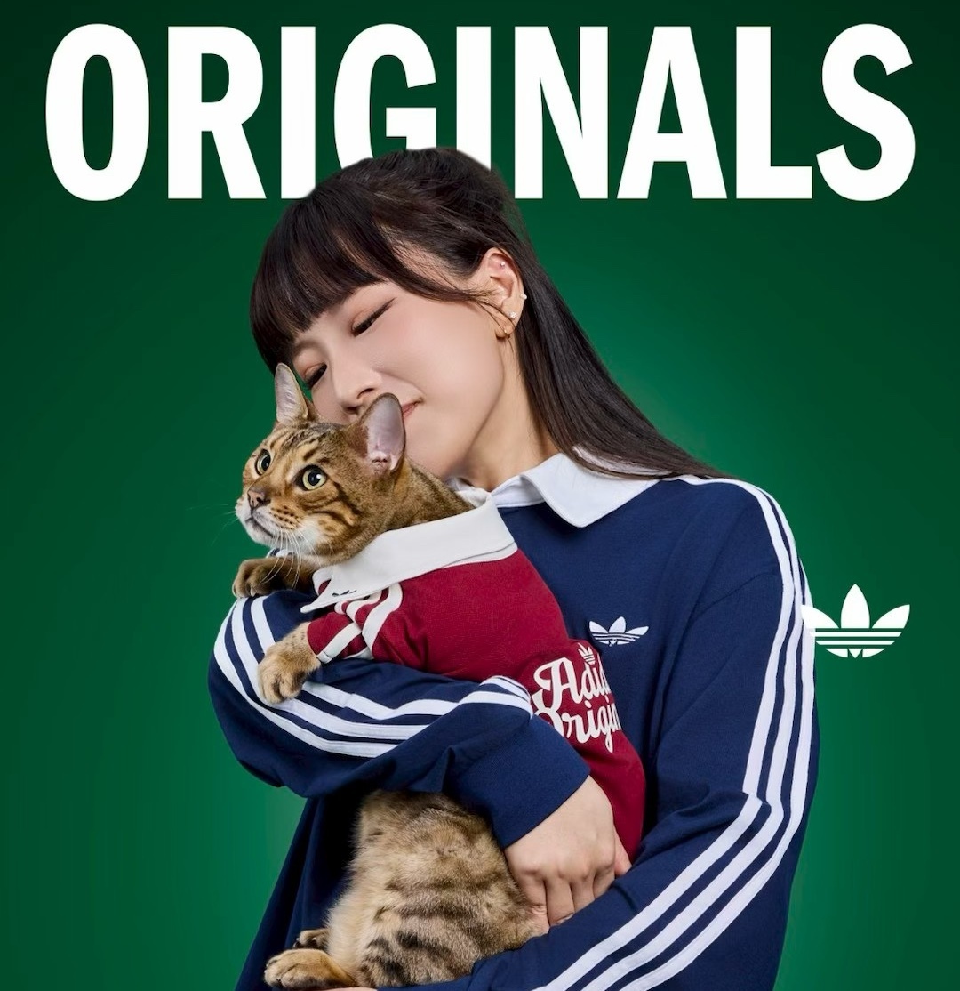 67967e379076ce290079a641405b95ad拷貝