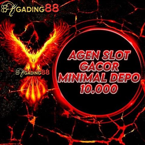 photo_2024-06-30_17-11-30