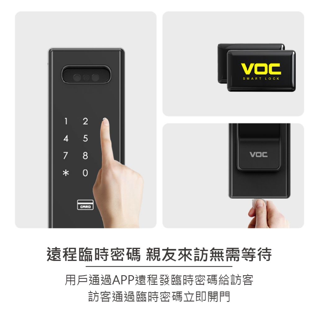 VOC-SOLO-GSFeyes_common-12