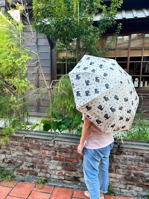 453528159_430060733333338_6401785112467733336_n