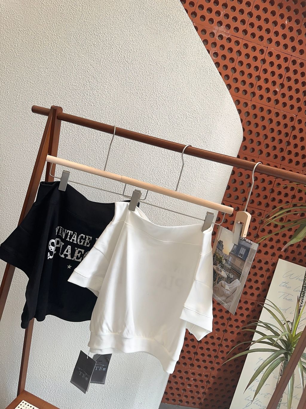 图片_20260418204739_722_20