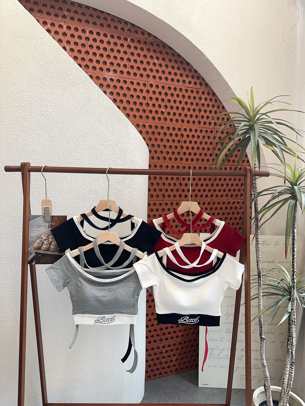 图片_20260420204514_919_20