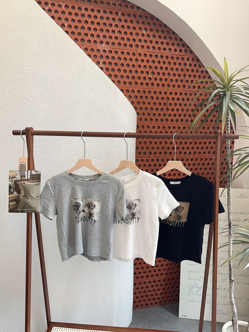 图片_20260420213746_972_20