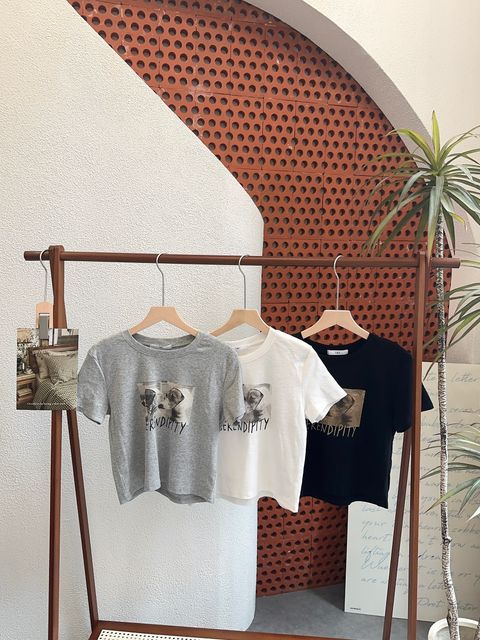 图片_20260420213746_972_20