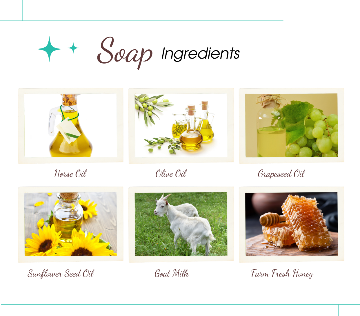 Horse_Oil_Goat_Milk_Soap_1