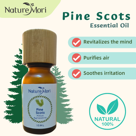 pine_scots_essential_oil_1