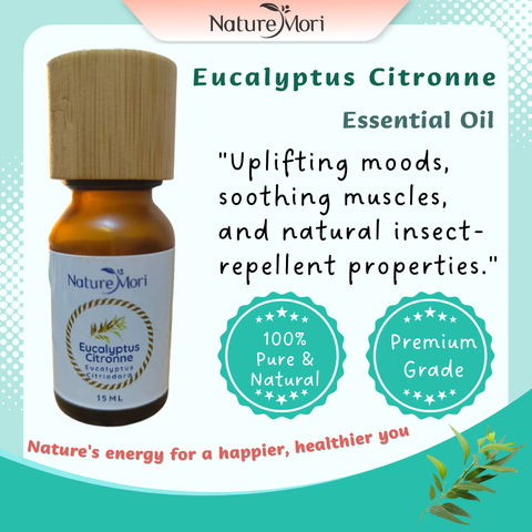 Eucalyptus_Citronne_essential_oil