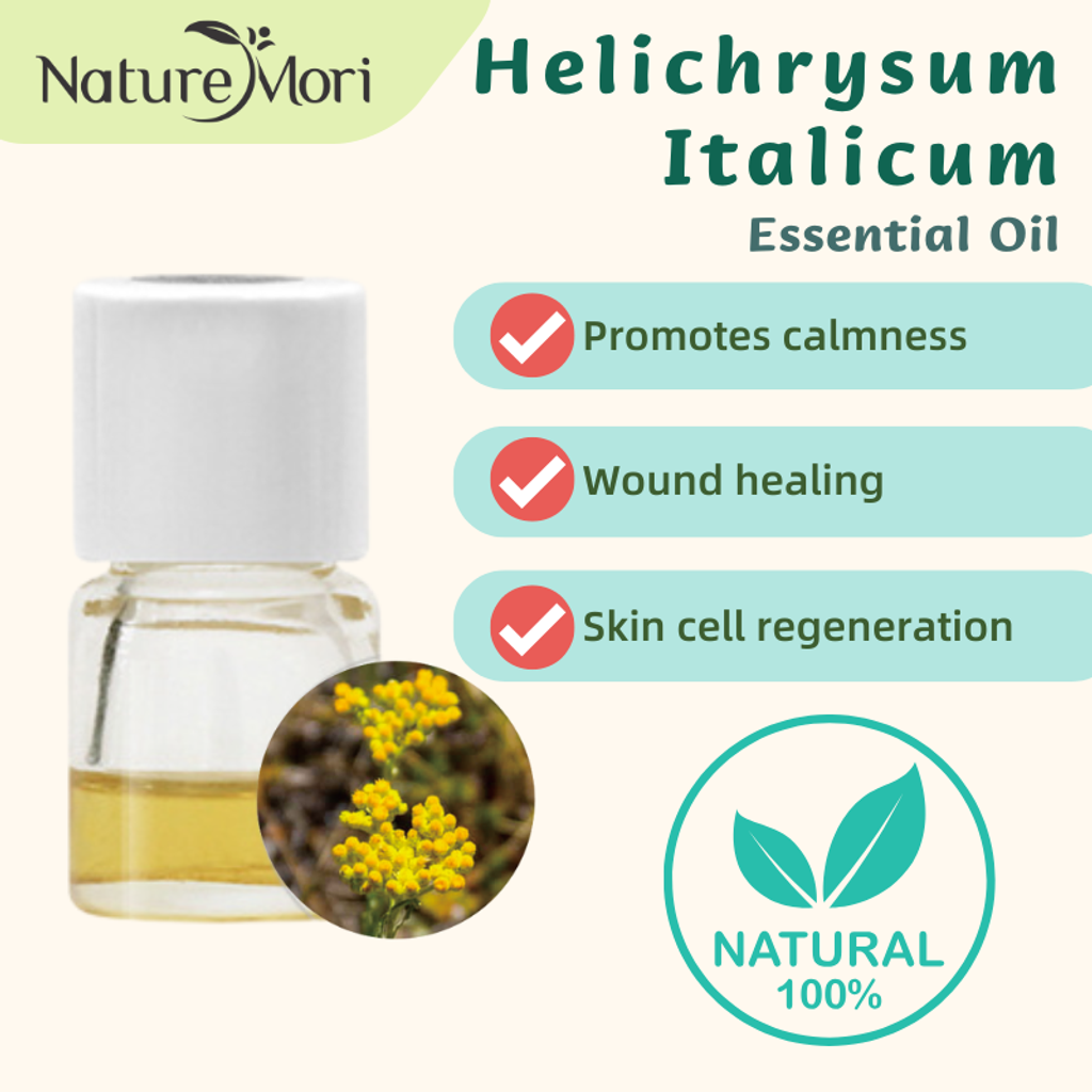 helichrysum_italicum_essential_oil_1