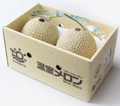 日本 高知哈密瓜 メロン