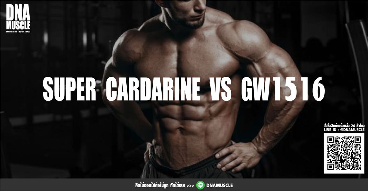 SUPER CARDARINE VS GW1516 ต่างกันยังไง