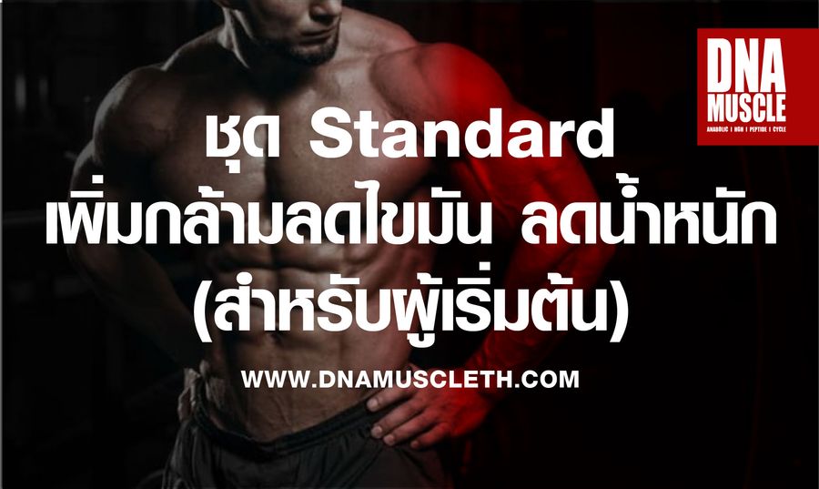 DNAMUSCLE |  - 