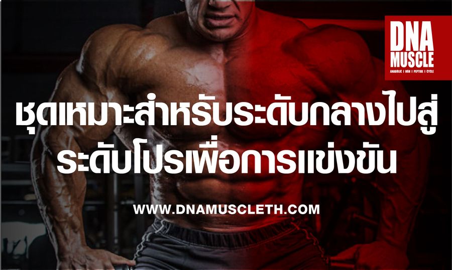 DNAMUSCLE |  - 
